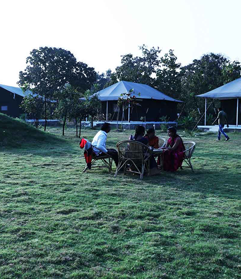 Bodhivann Jungle Camp