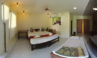 Singh Estate, Zari deluxeroom3