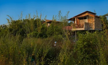 Singh Estate, Zari Lake View Machaan 2 - Tadoba